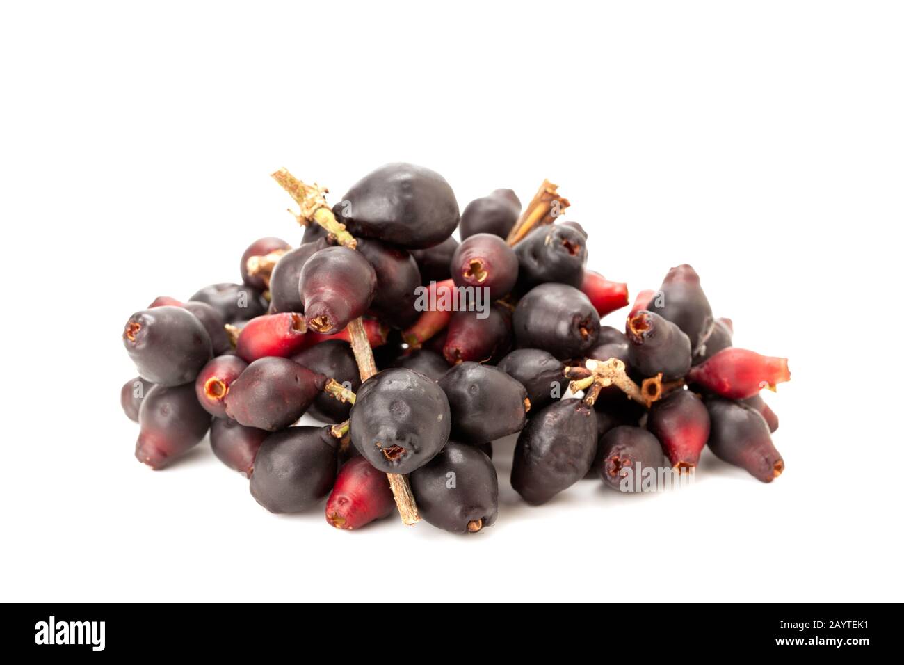 Syzygium cumini, black plum, jamun or Syzygium cumini isolated on white background Stock Photo