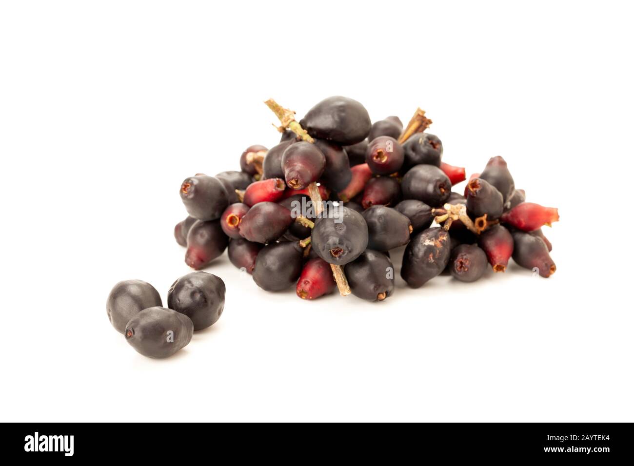 Syzygium cumini, black plum, jamun or Syzygium cumini isolated on white background Stock Photo