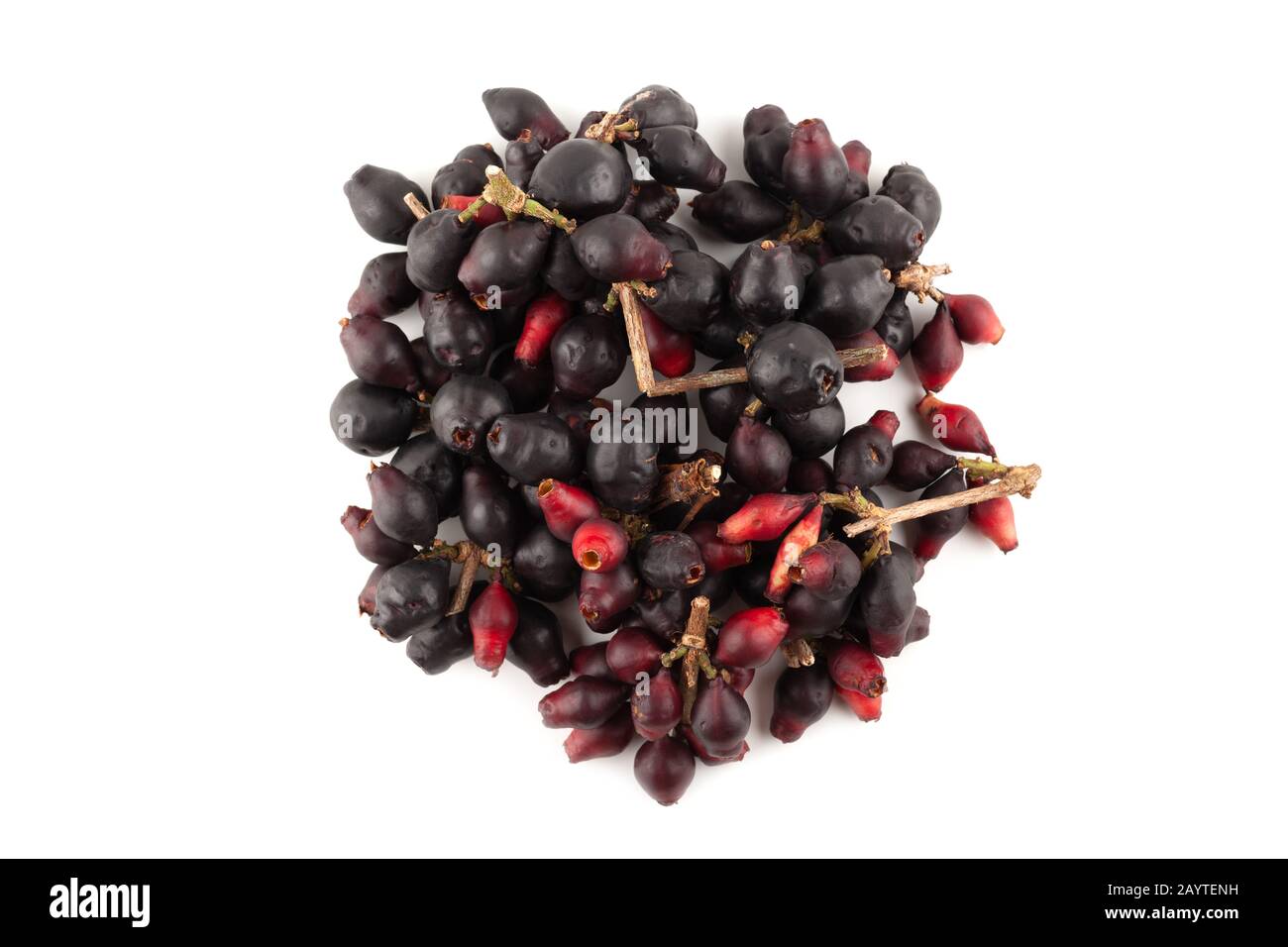 Top view of Syzygium cumini, black plum, jamun or Syzygium cumini isolated on white background Stock Photo