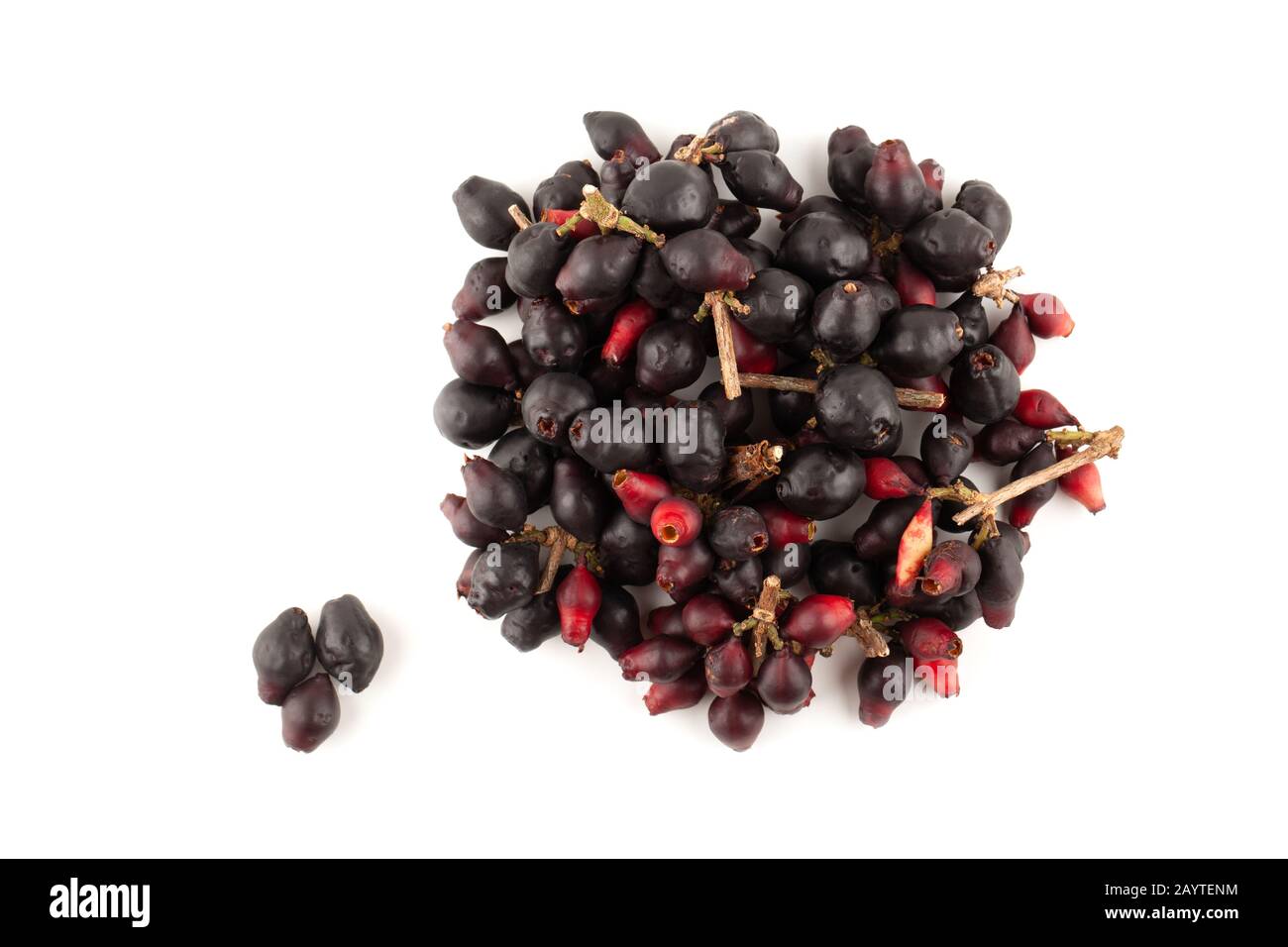 Top view angle of Syzygium cumini, black plum, jamun or Syzygium cumini isolated on white background Stock Photo