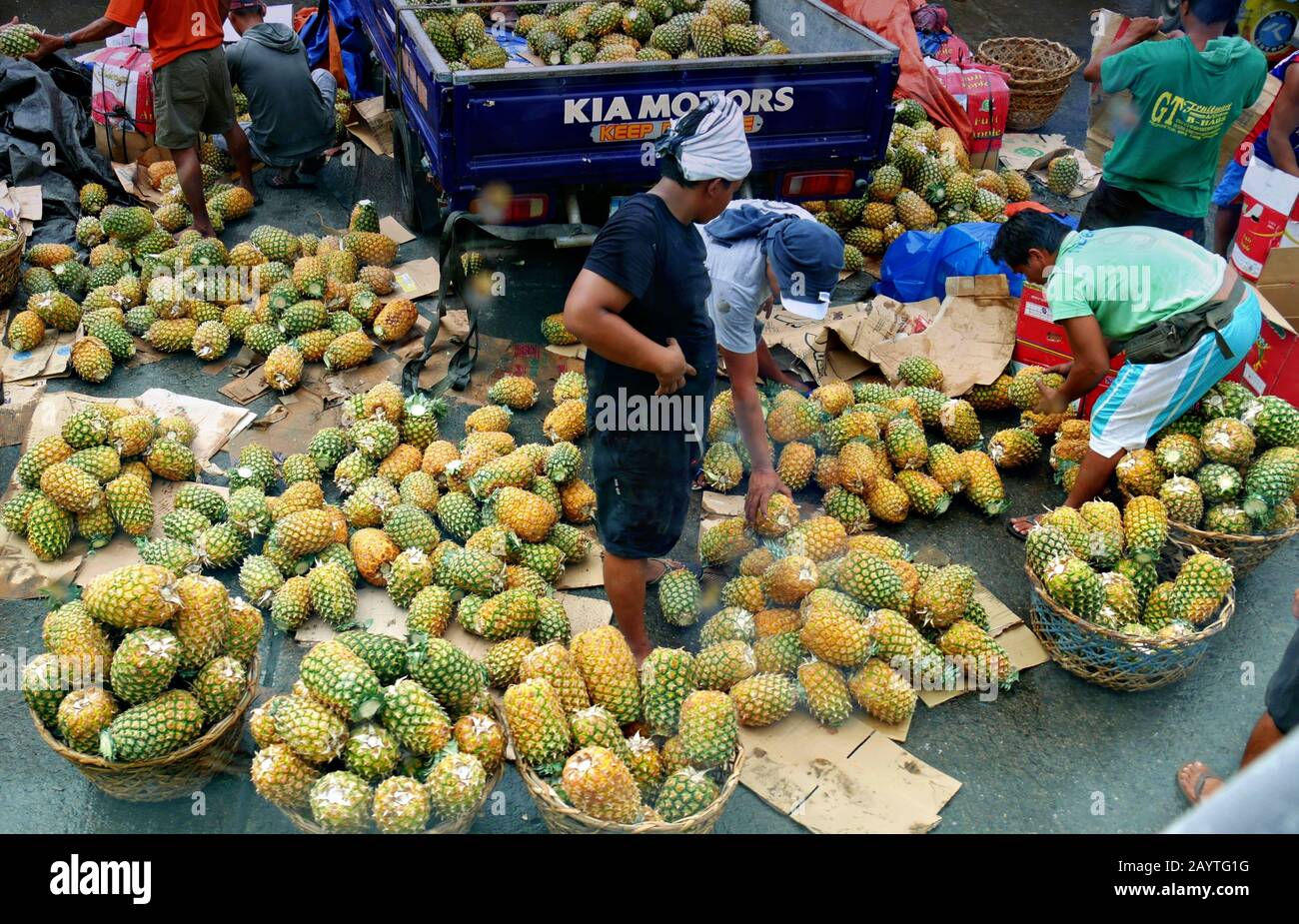 Philippine pineapples hires stock photography and images Alamy