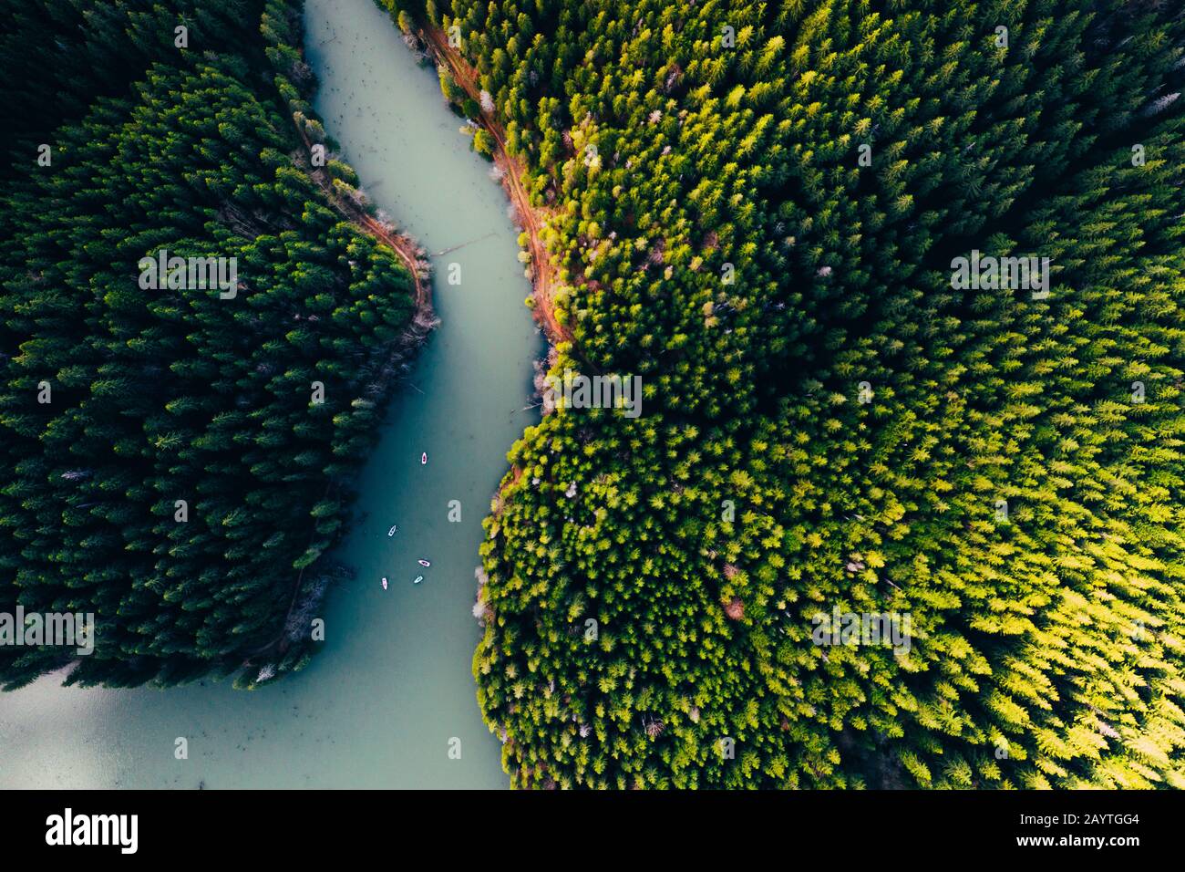 Lake ina pine tree forest with small boats seen from a drone Stock Photo