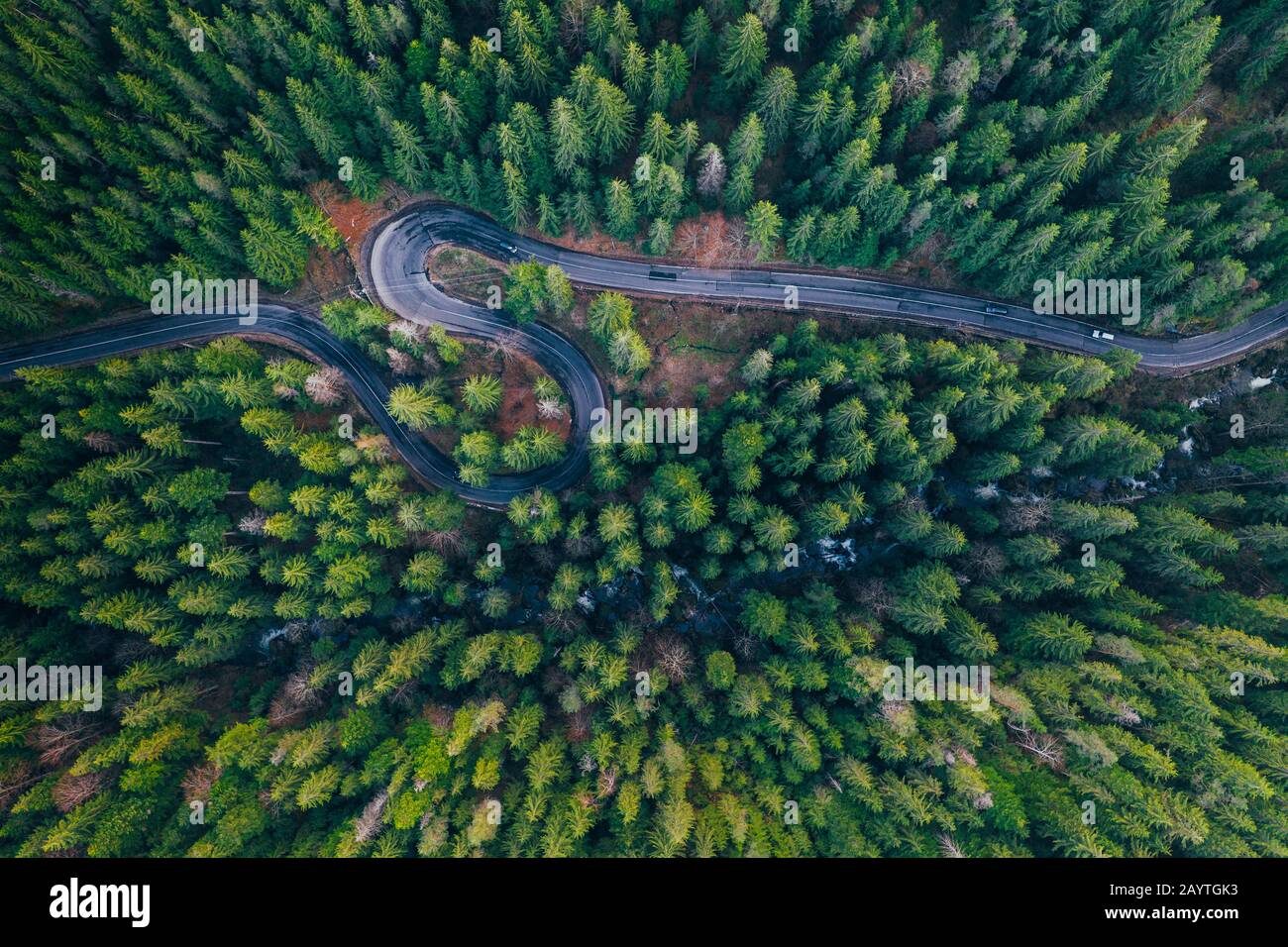 Drone view of winding forest road Stock Photo