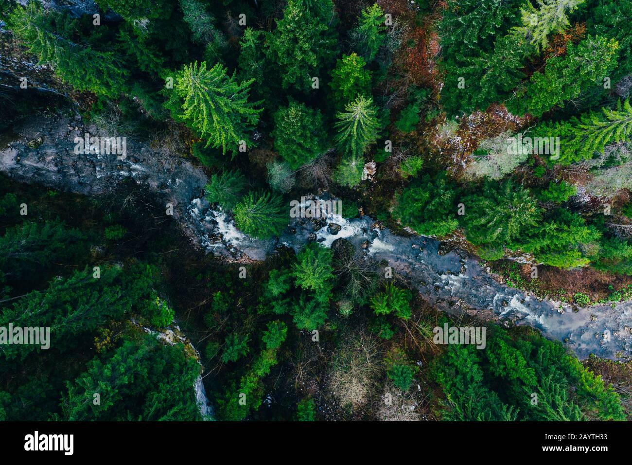 Creek winding through cliffs and forests seen from a drone Stock Photo