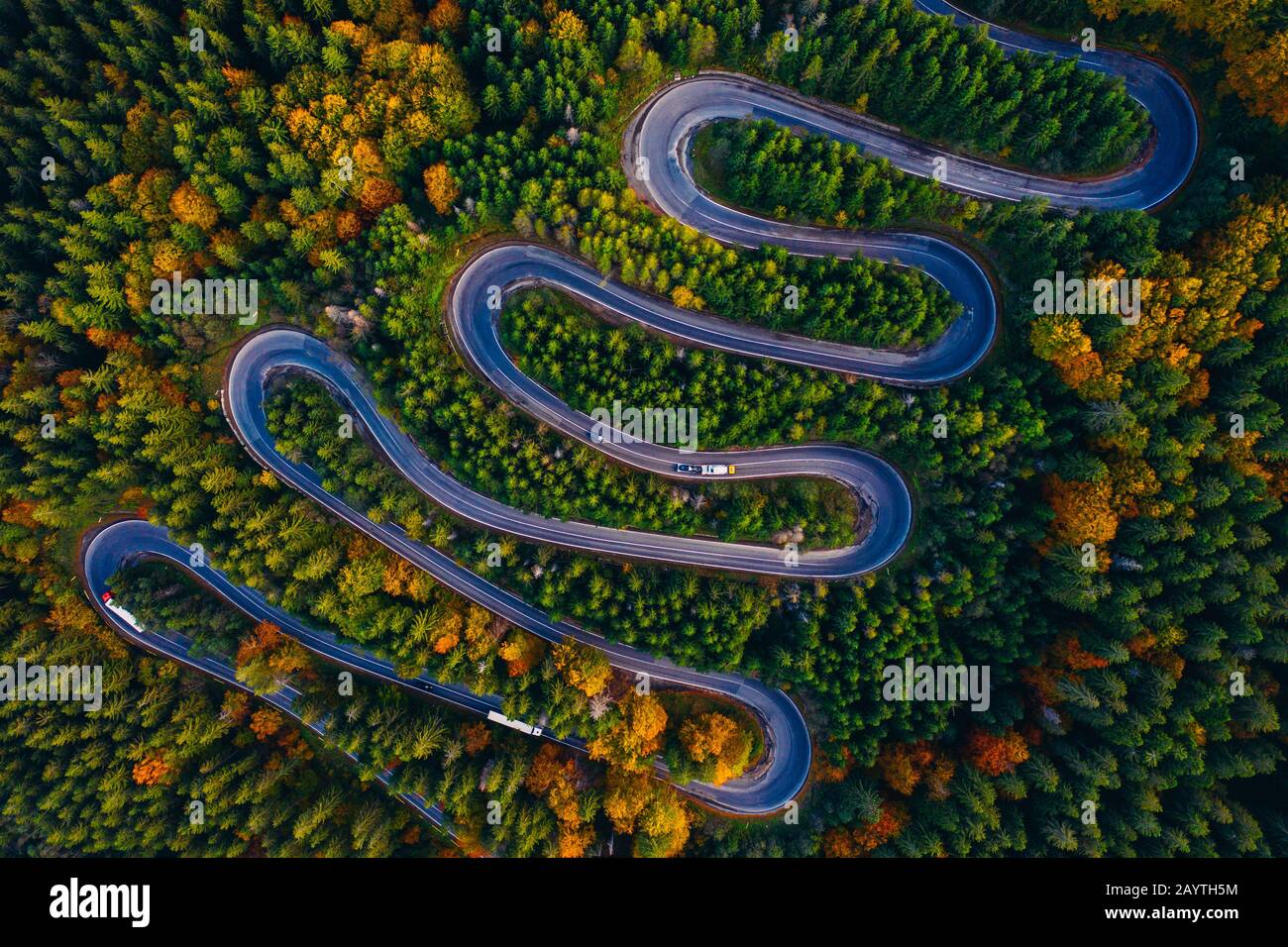 Scenic curvy road seen from a drone in autumn. Cheia, Romania. Stock Photo