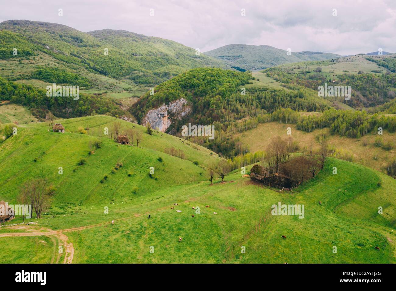 Drone view of green meadows, small houses and roads in Transylvania, Romania. Stock Photo