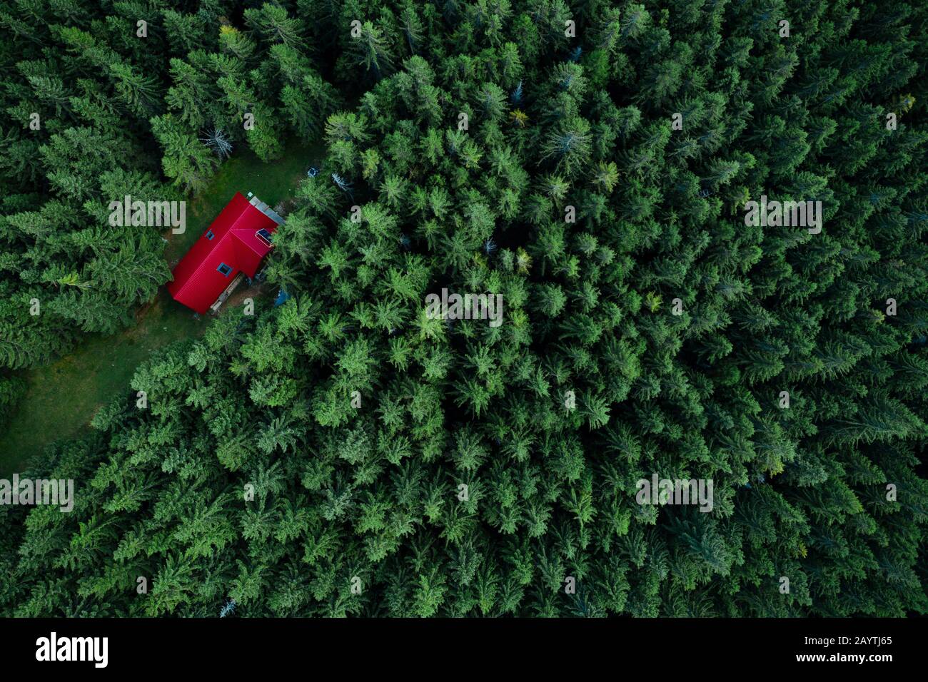 Fairy-tale little house in the woods taken from a drone. Stock Photo