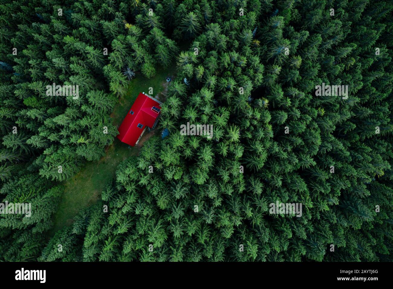 Fairy-tale little house in the woods taken from a drone. Stock Photo