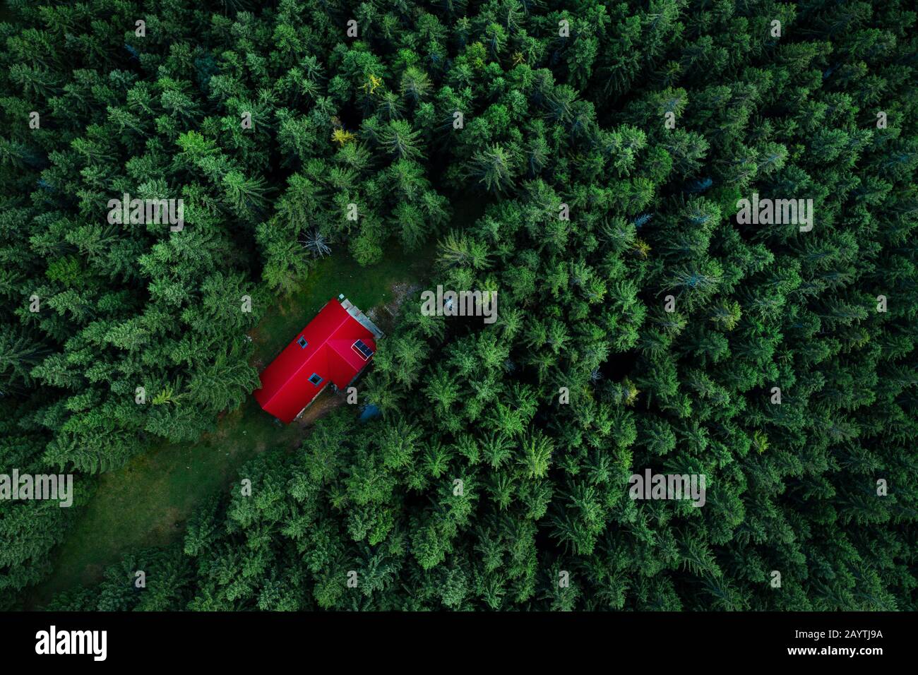 Fairy-tale little house in the woods taken from a drone. Stock Photo