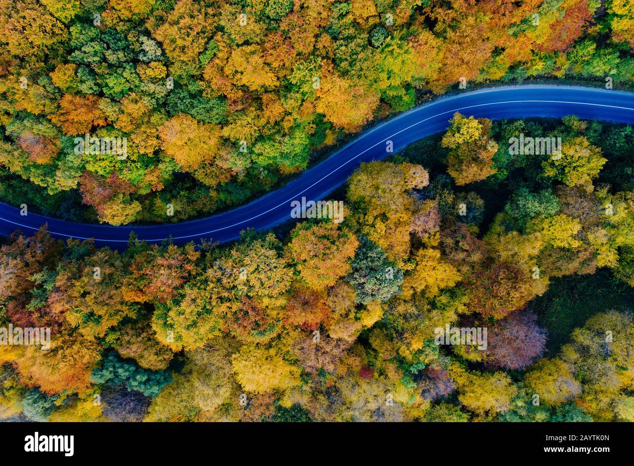 Drone view of a forest and a serpentine road in autumn with colorful trees Stock Photo
