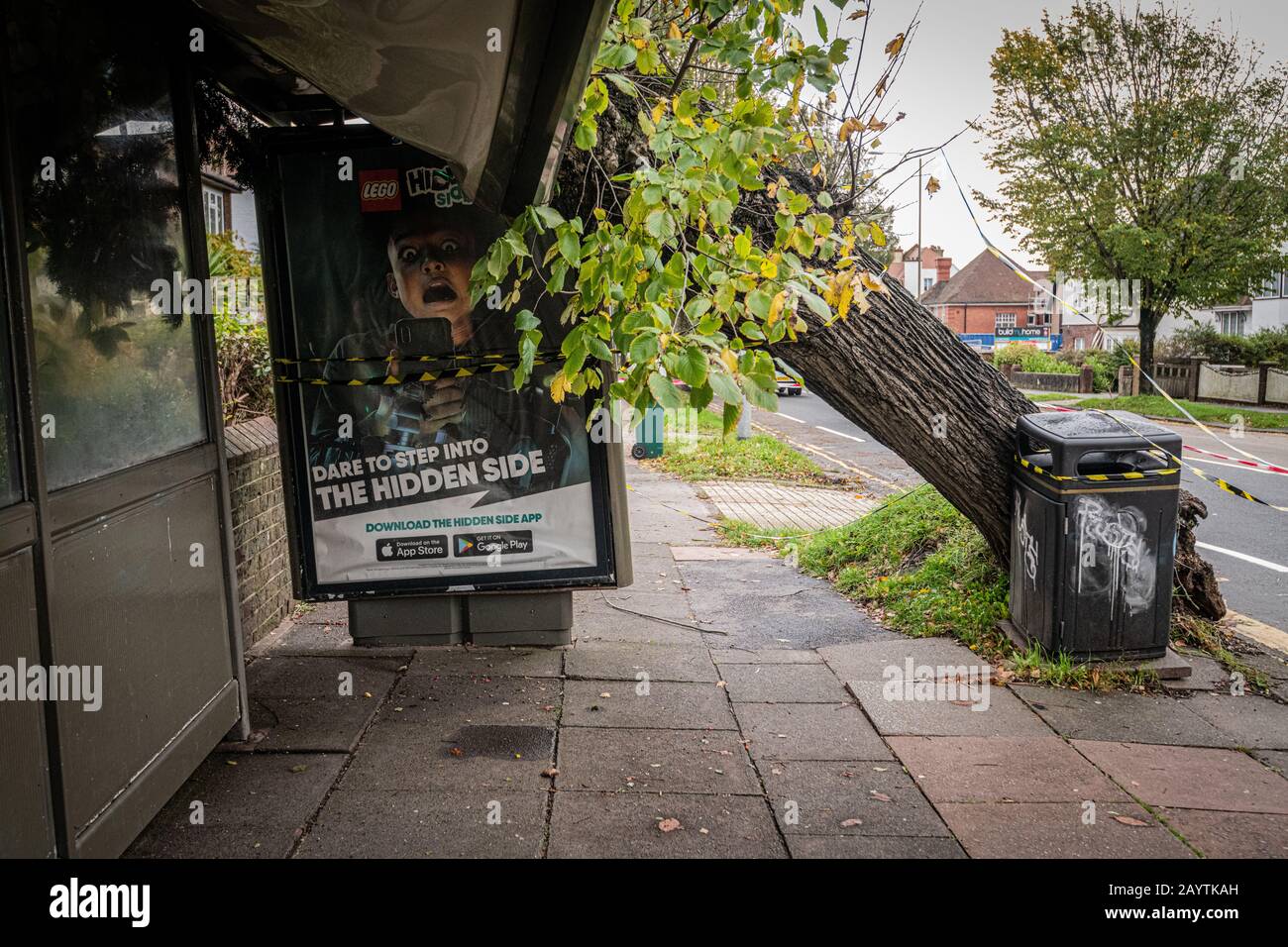 A tree toppled onto a damaged bus stop dues to high winds, Brighton, East Sussex UK Stock Photo