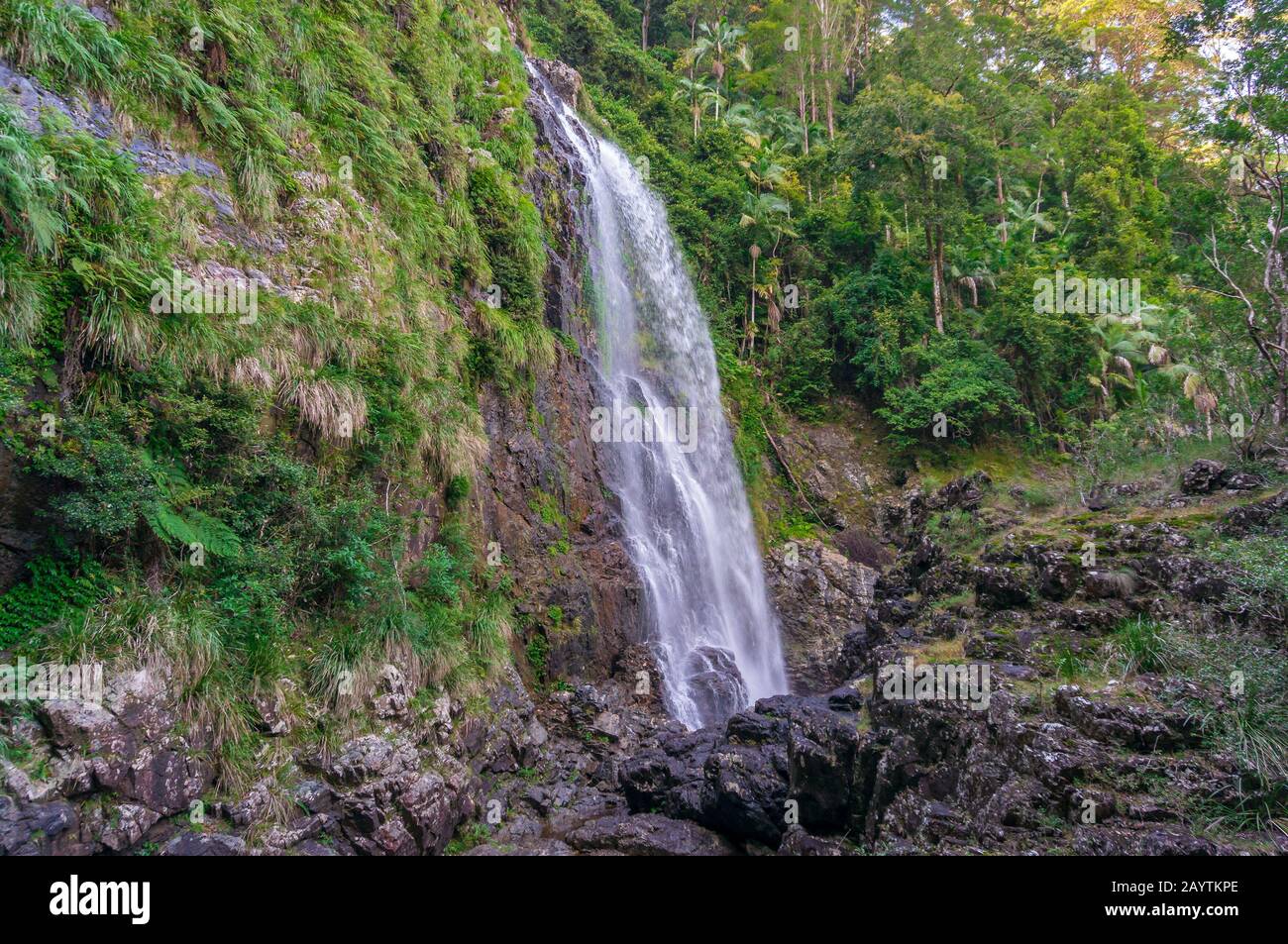 Beautiful forest landscape with waterfall nature background. Red Cedar Falls in Dorrigo National Park, Australia Stock Photo