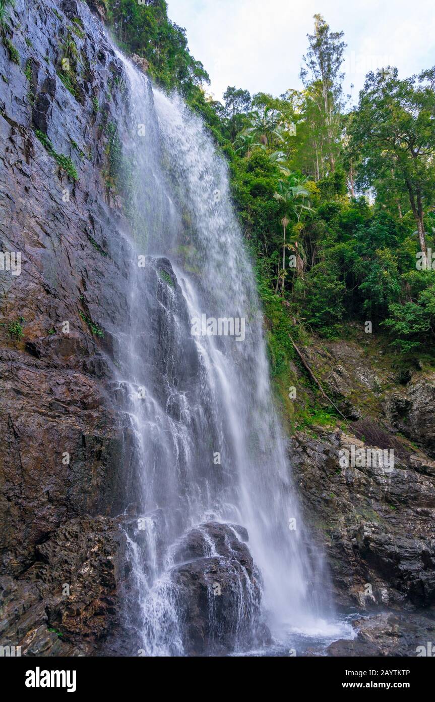 Impressive waterfall in rainforest nature background. Red Cedar Falls in Dorrigo National Park in Australia Stock Photo