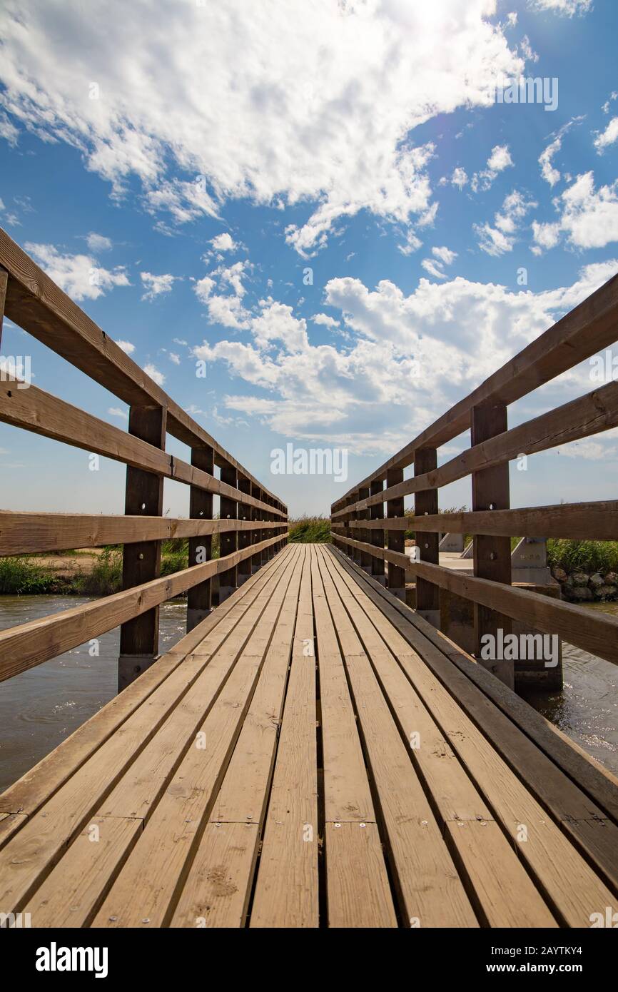 Wood bridge on the forest vanishing point perspective Stock Photo