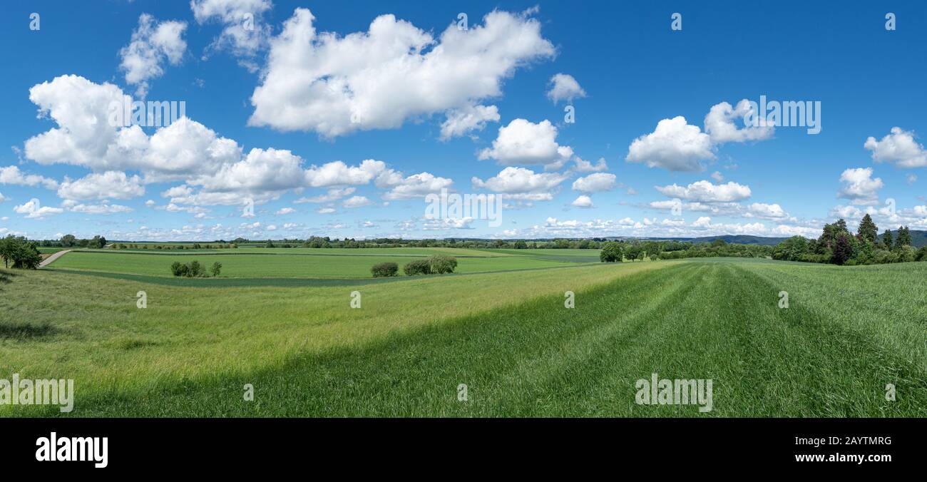 Rural scene - landscape in spring with green fields Stock Photo