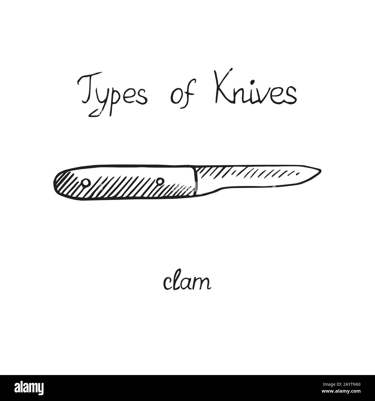 Knife types, clam, outline illustration with inscription Stock Photo ...