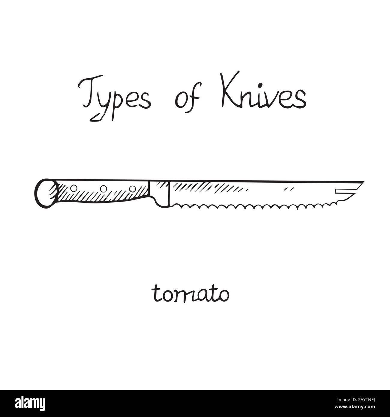 Knife types, tomato, outline illustration with inscription Stock Photo
