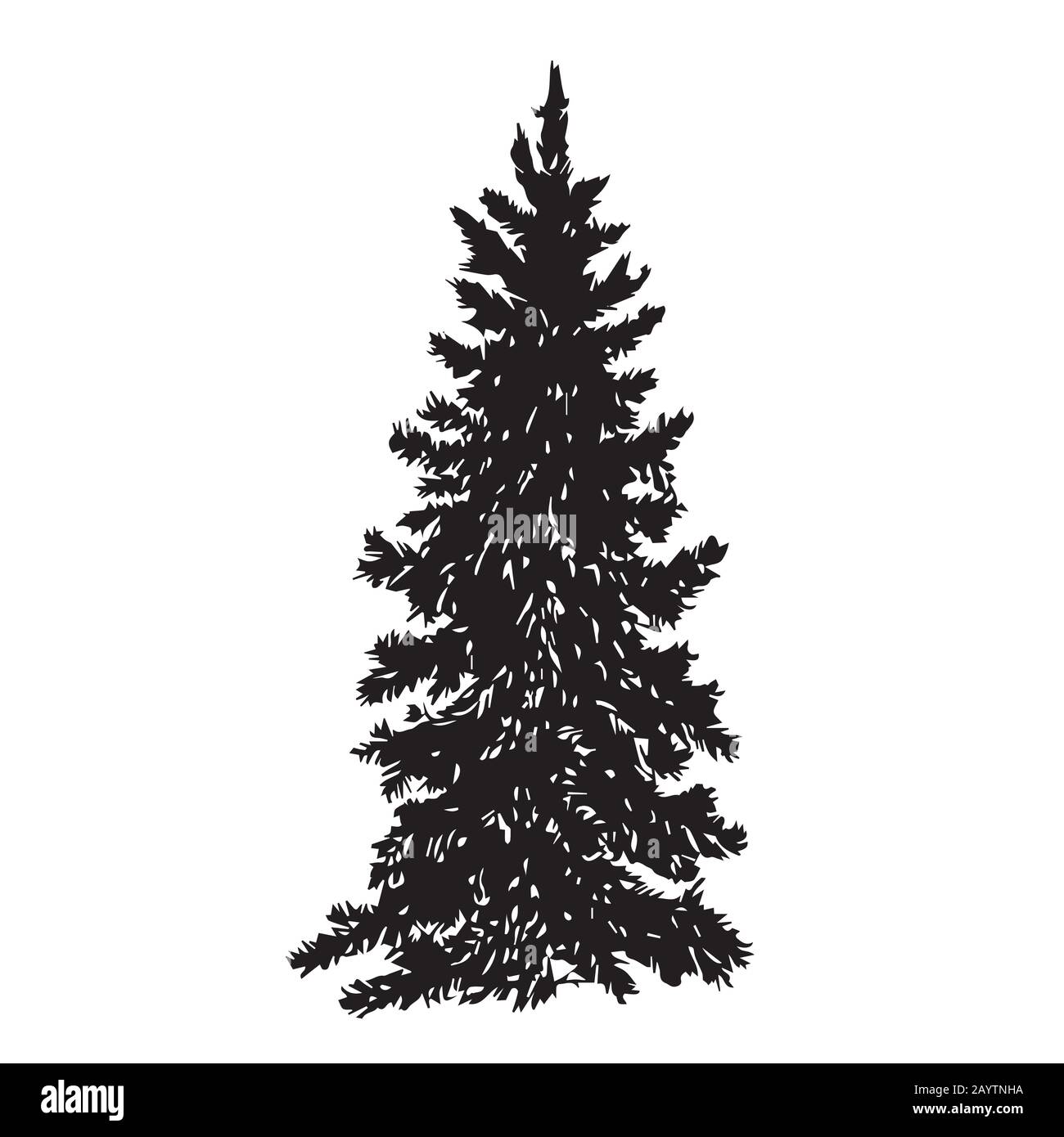 Pine tree silhouette, hand drawn doodle sketch, black and white  illustration Stock Photo - Alamy