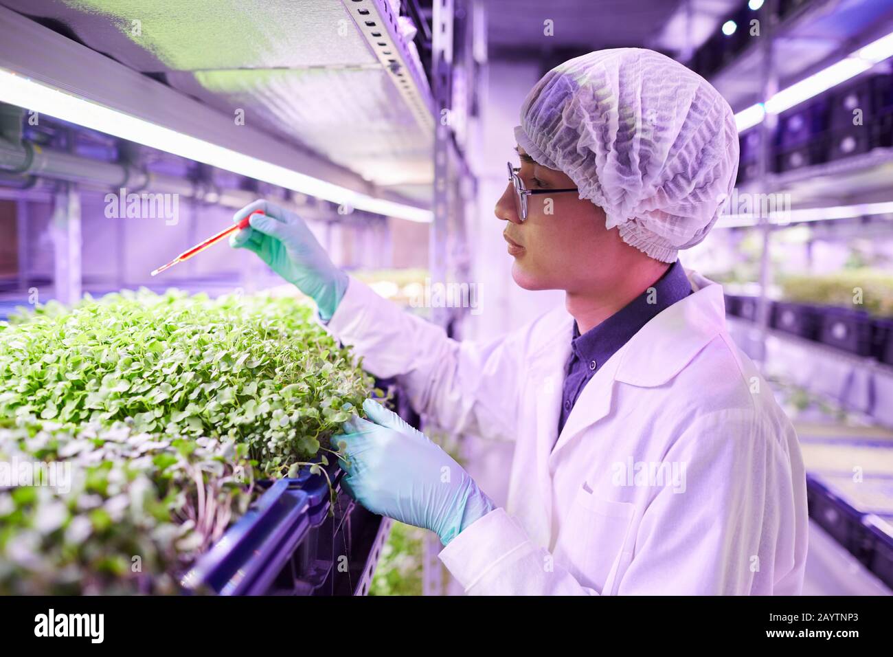 Side view portrait of young technician checking humidity in nursery