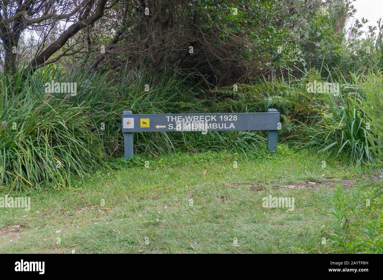 NSW, Australia January 24, 2015 Historic S.S. Merimbula wreck walk