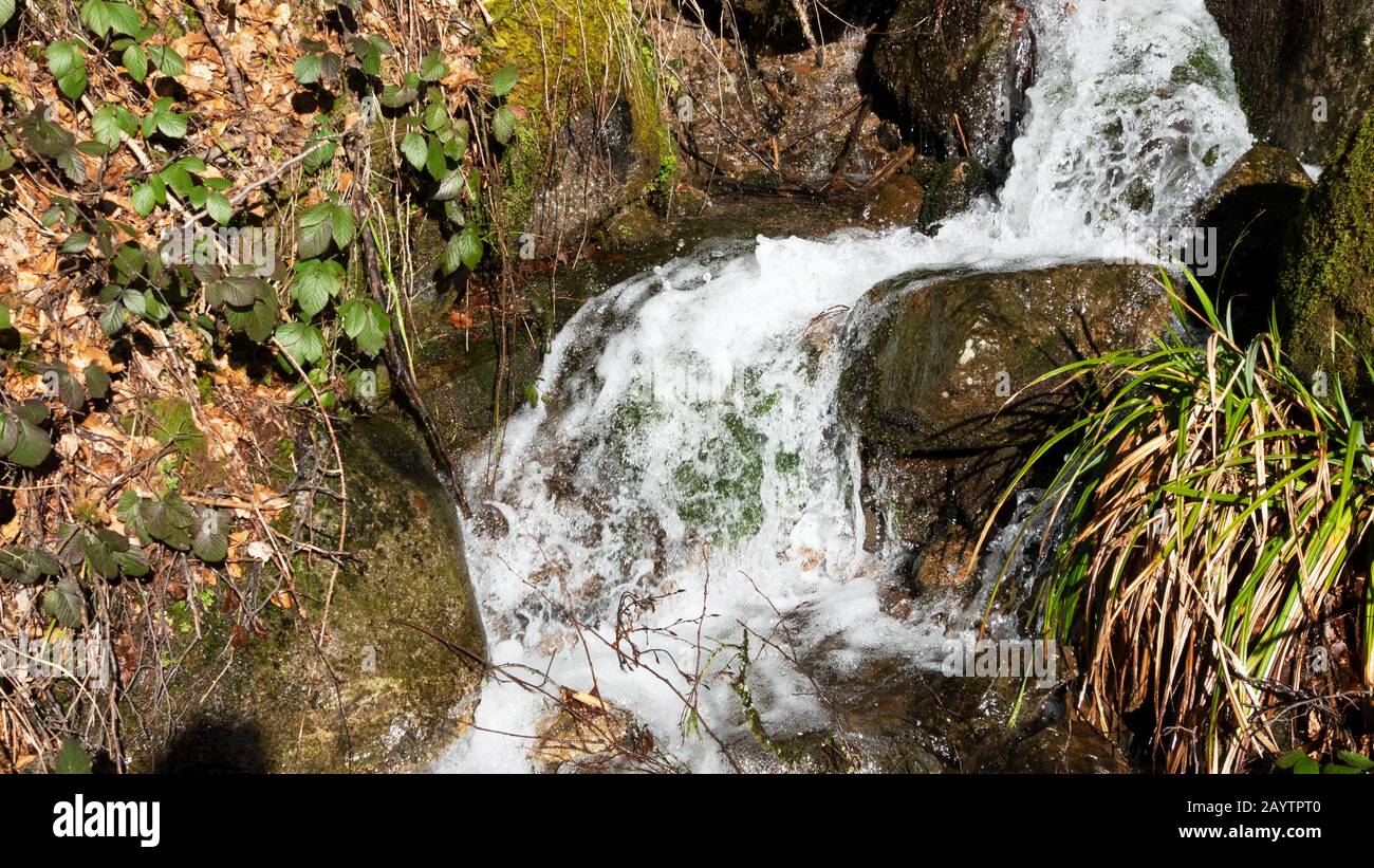 Wild stream water down the mountain Stock Photo