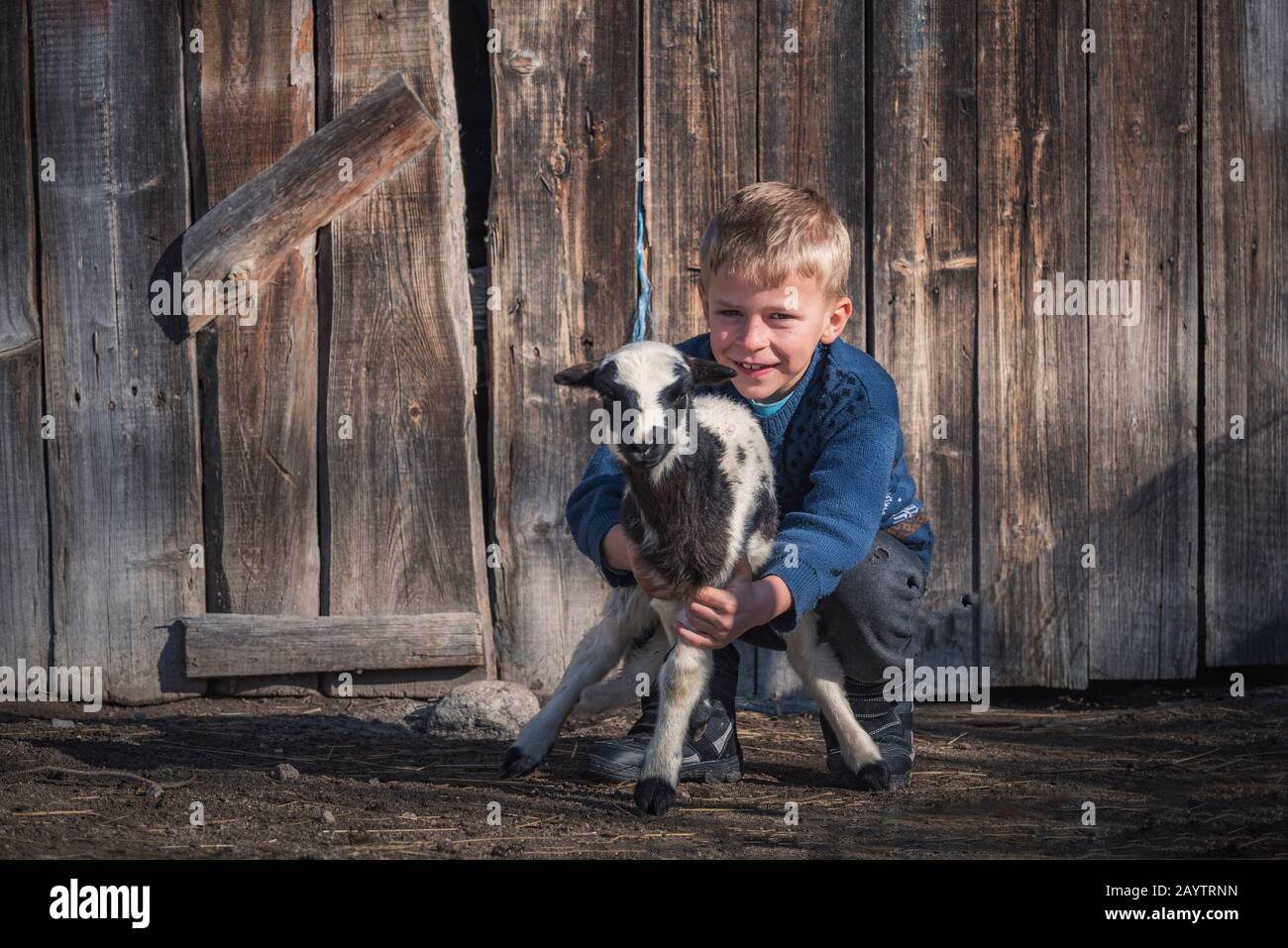 Krastava village, Rhodope mountains / Bulgaria : Portrait of little boy hug lamb in the farm. Stock Photo