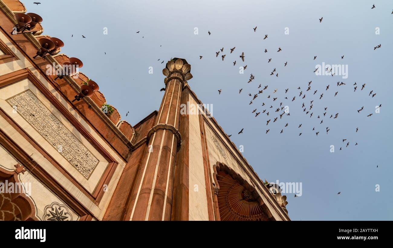 Birds circling the tower of the Jama Masjid mosque in Delhi Stock Photo