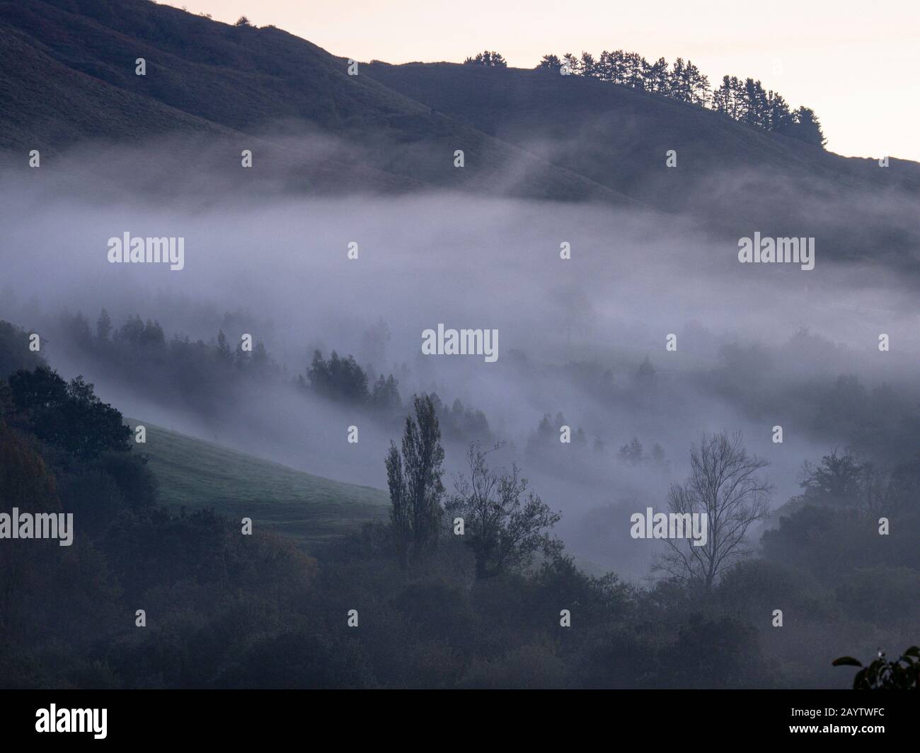 niebla matutina, Ucieda, parque natural del Saja-Besaya, Cantabria, Spain. Stock Photo