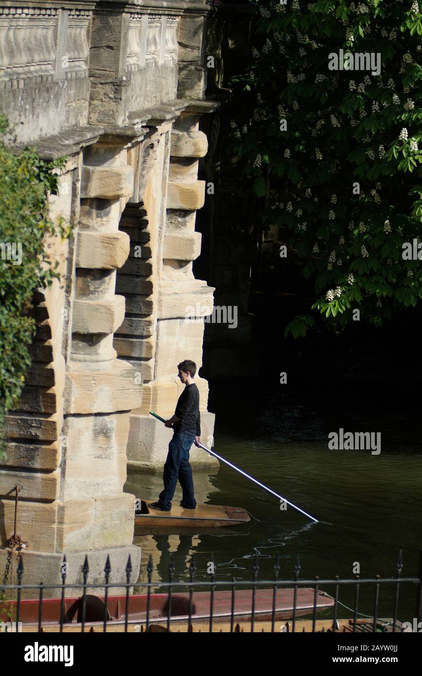 Punting on the river Cherwell at Magdalen Bridge, Oxford. Stock Photo