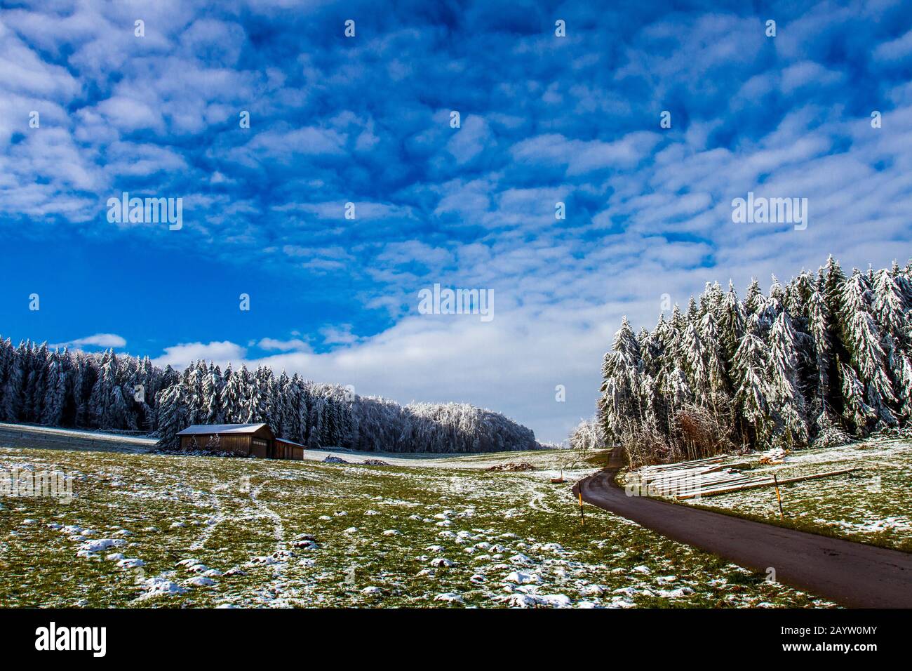 snowy landscape, Swabian Alb, biosphere reserve, Germany, Germany, Swabian Alb Stock Photo