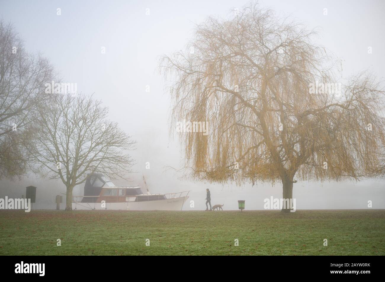 A dog walker on the towpath in the early morning mist by a willow tree and moored cabin cruiser at Mill Meadows, Henley-on-Thames Stock Photo
