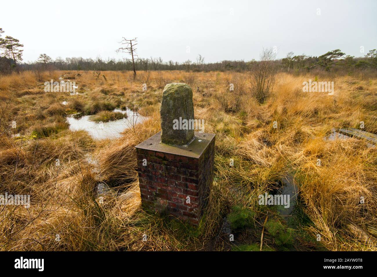 boundary stone in Wooldse Veen, Netherlands, Gelderland, Wooldse Veen Stock Photo