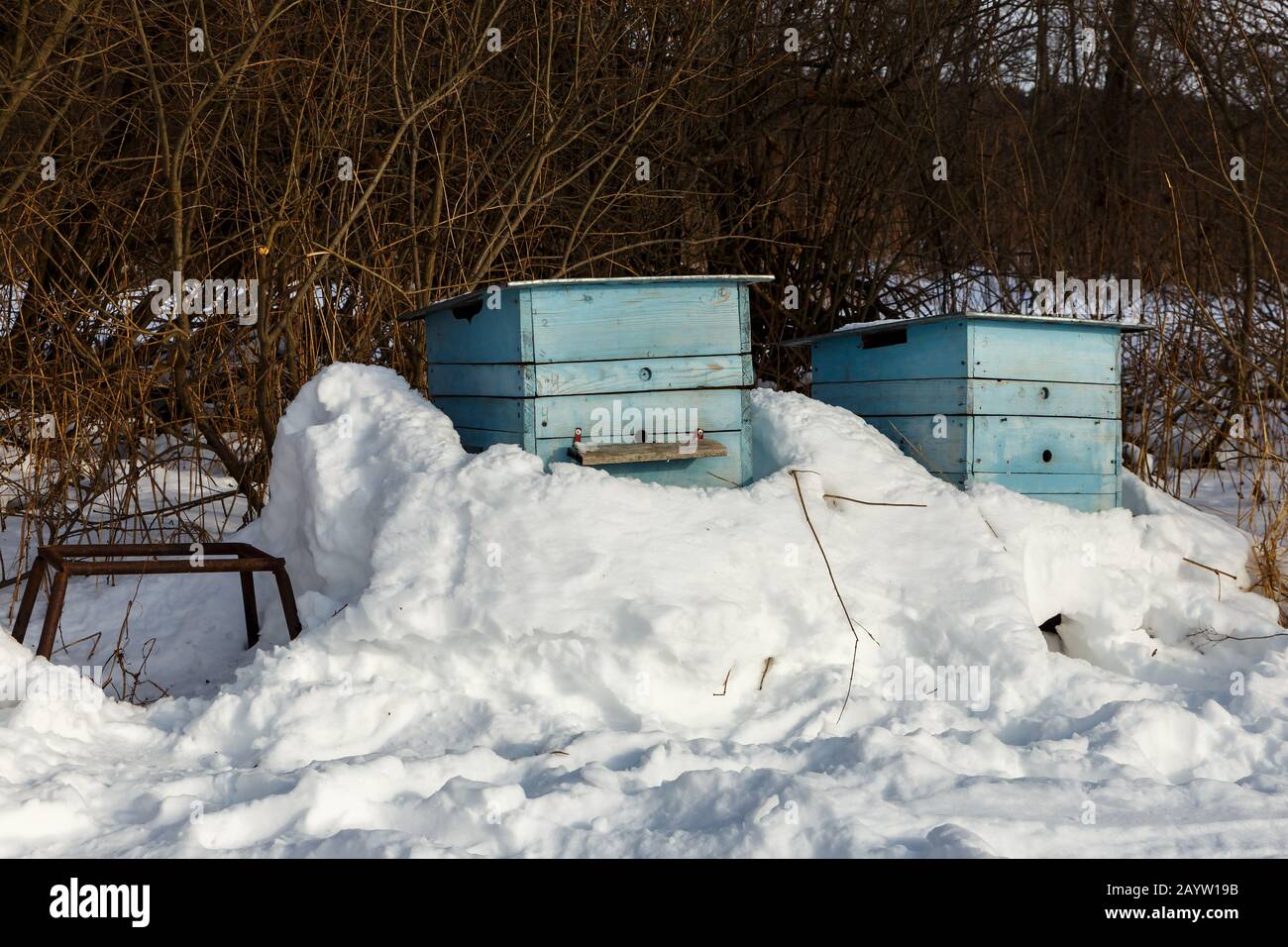 two beehives covered with snow in a winter forest Stock Photo