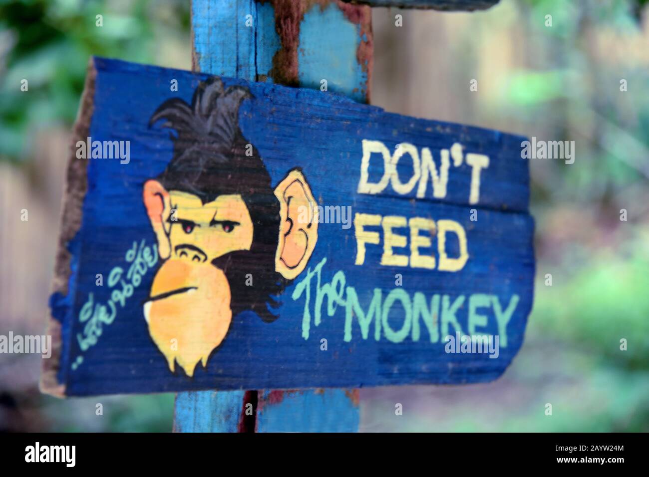 sign 'don't feed the monkey', Thailand, Koh Phi Phi Stock Photo