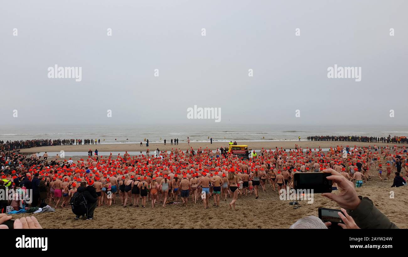 swimmers with orange booble caps on the North Sea coast at the