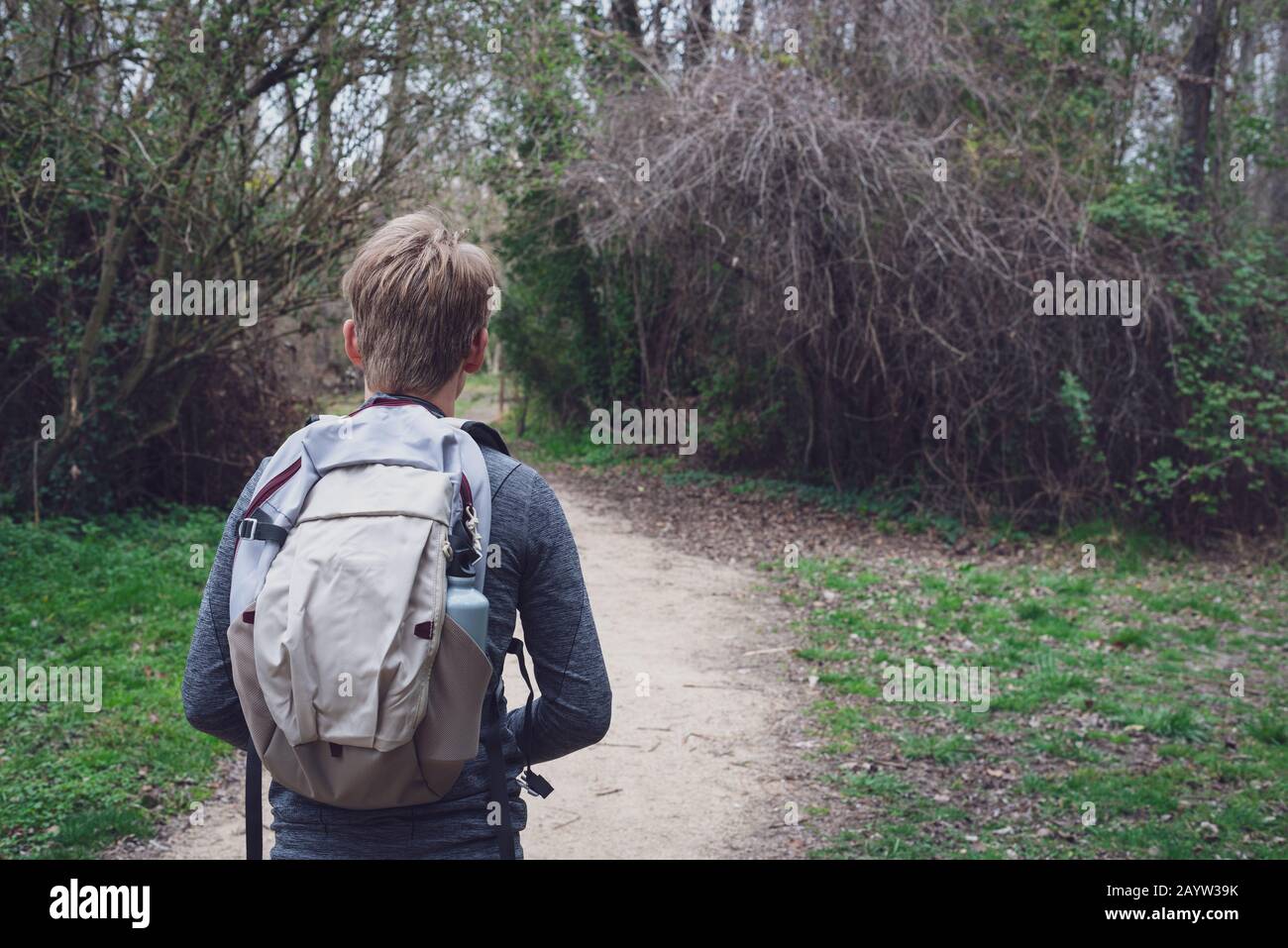 young hiker ,following path in woods.back view.with backpack & waterbottle. Stock Photo