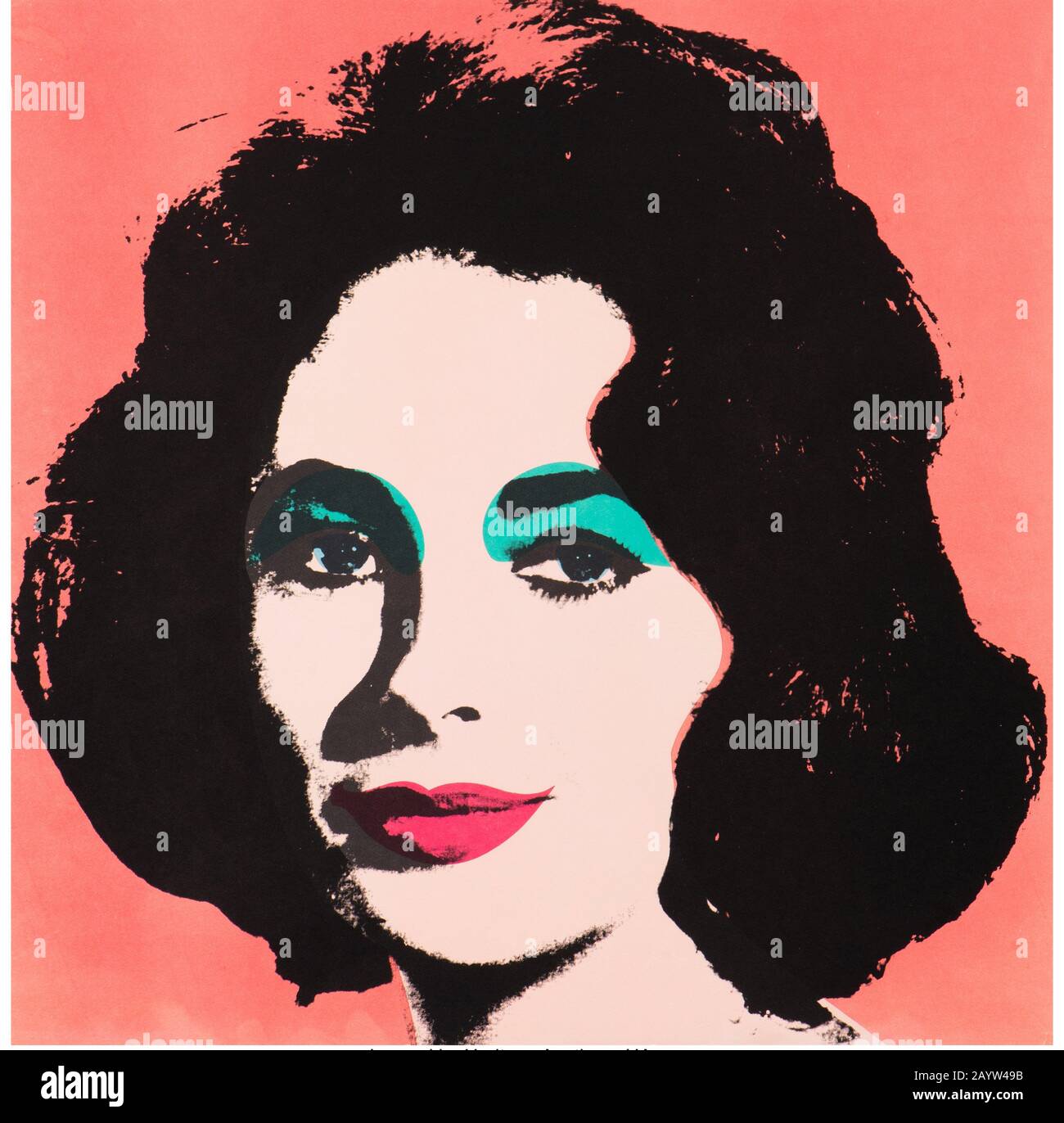 Liz. Museum: PRIVATE COLLECTION. Author: ANDY WARHOL. Stock Photo