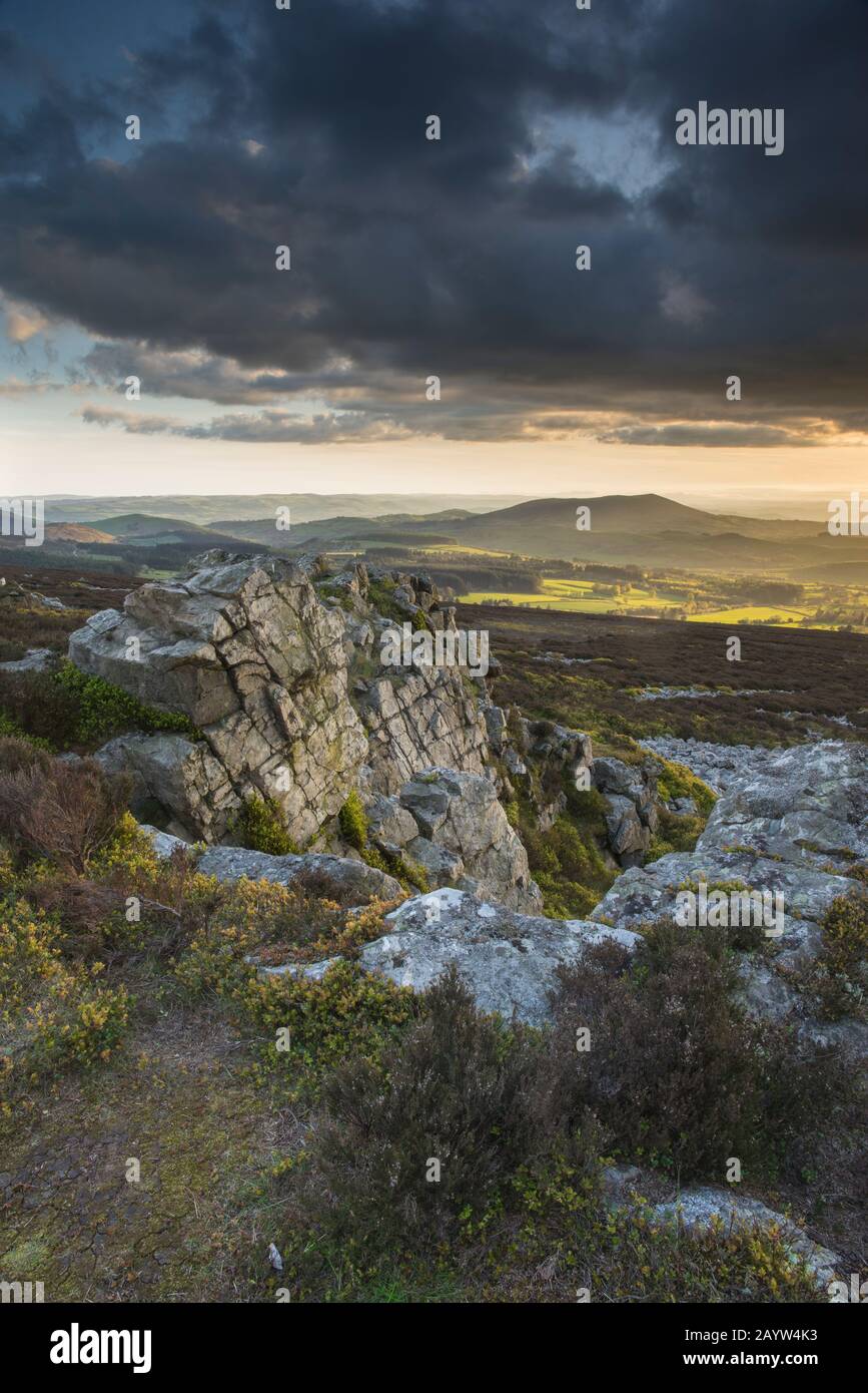 A wide view from Stiperstones, a shattered quartzite ridge near the Welsh border in Shropshire, England, UK. Stock Photo