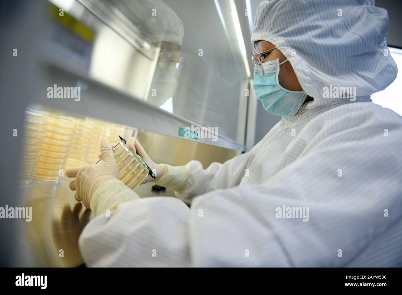 Lab Testing Supervision Total Supervision High Resolution Stock Photography and Images - Alamy