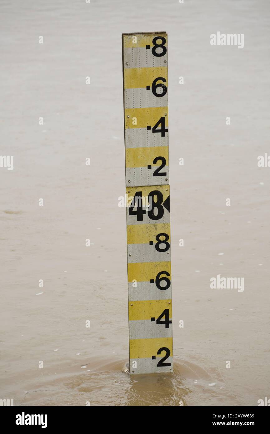 A water level marker in the flooding River Stour near Sturminster Newton that has swollen with water following heavy rains from Storm Dennis. The stor Stock Photo