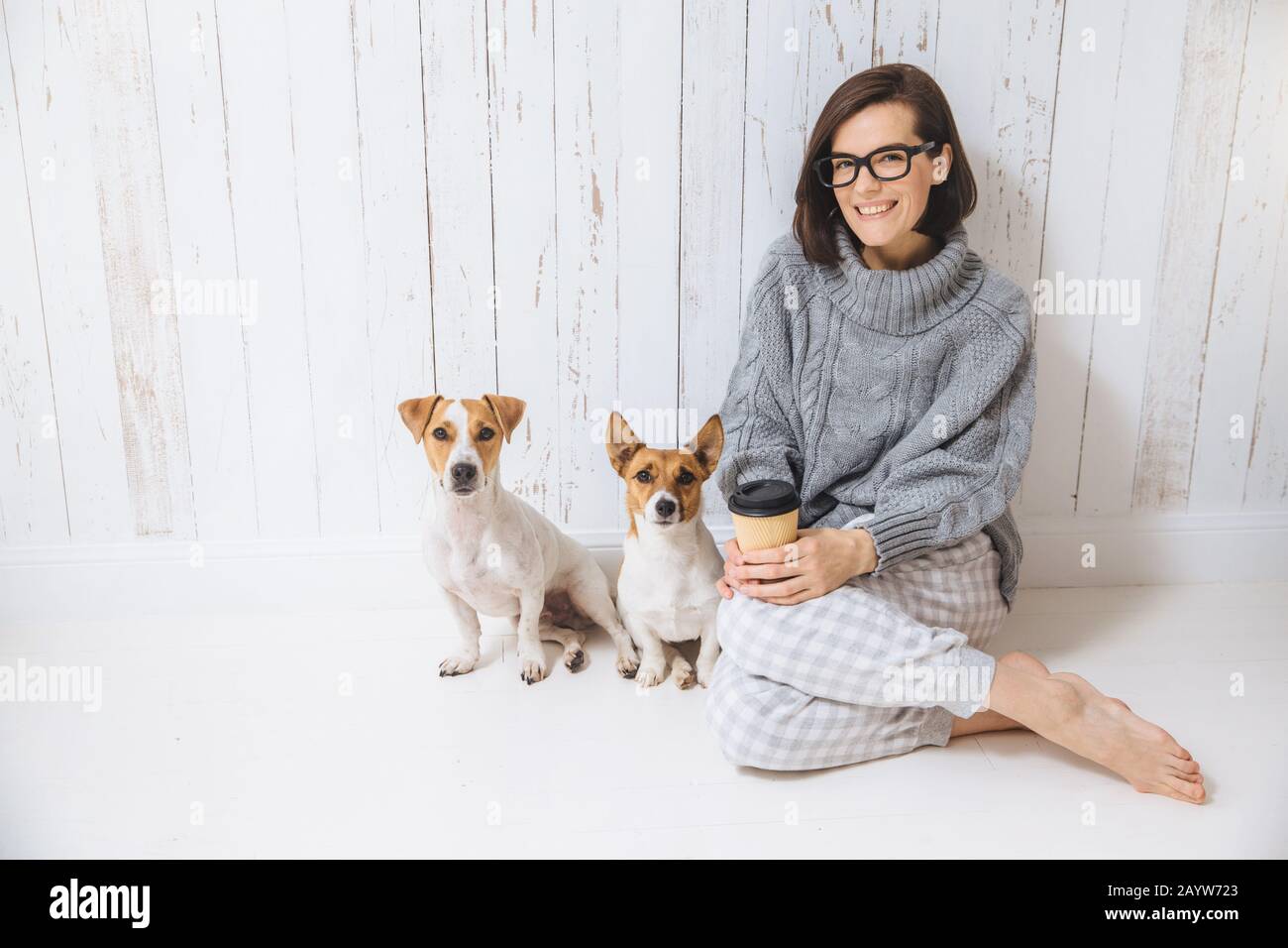 Pleasant looking brunette female dressed casually, drinks hot beverage from paper cup, sits near two dogs, enjoys domestic atmosphere, looks directly Stock Photo