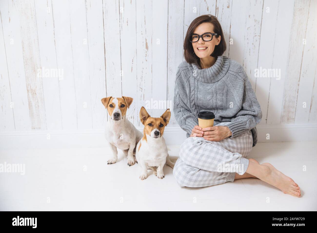 Beautiful brunette woman sits on floor with her two favourite dogs, dressed casually, drinks takeaway coffee. Pleased female enjoys calm domestic atmo Stock Photo