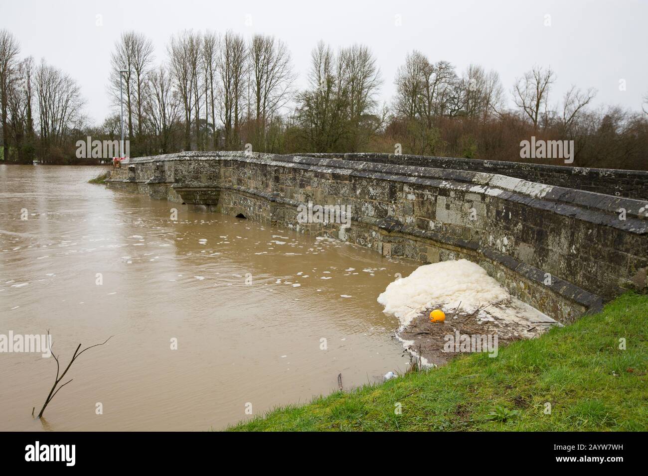 The Dorset Stour river flooding after heavy rains caused by Storm Dennis passing under Sturminster Newton town bridge. Storm Dennis arrived on 15.02.2 Stock Photo