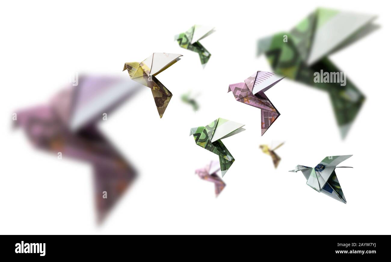 Flock of birds Cut Out Stock Images & Pictures - Alamy