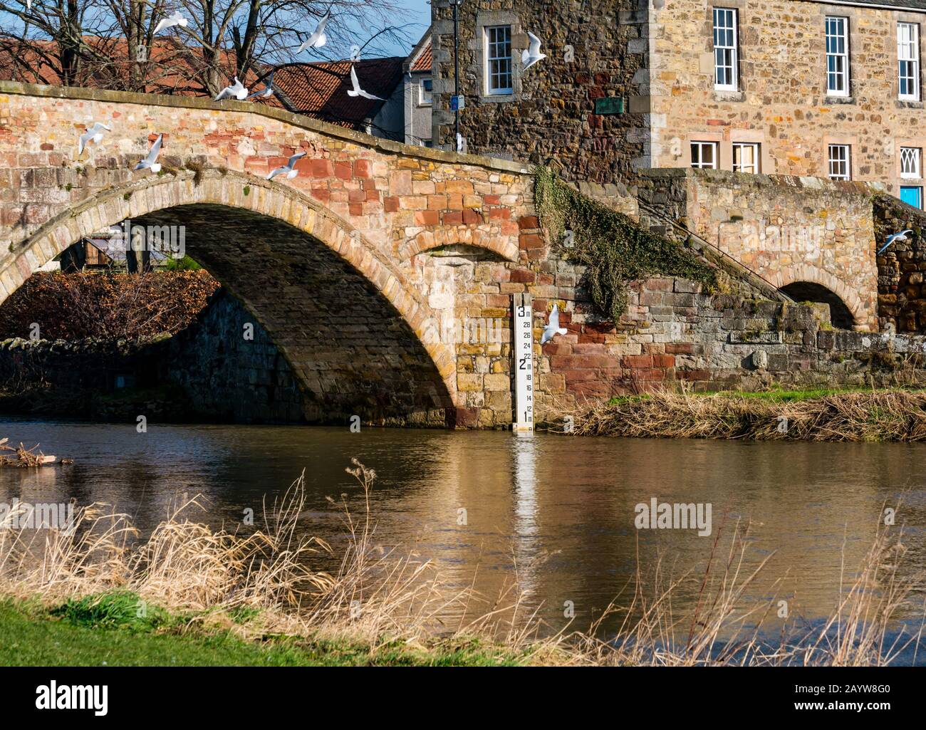 Old bridge haddington hires stock photography and images Alamy