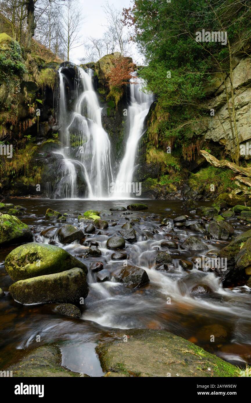 Posforth Gill Waterfall in idyllic peaceful countryside (stream water flowing over rocky cliff into pond) - Bolton Abbey, Yorkshire Dales, England, UK Stock Photo