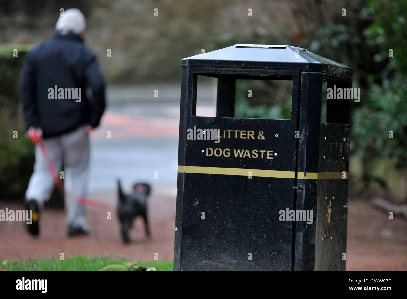 Ayr dog waste bin, dog walker. Holmston road, Ayr. Stock Photo