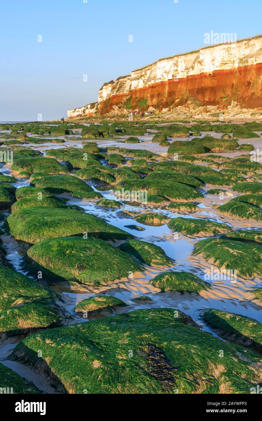 hunstanton coast norfolk county cliff strata geology from beach east anglia england uk gb Stock
