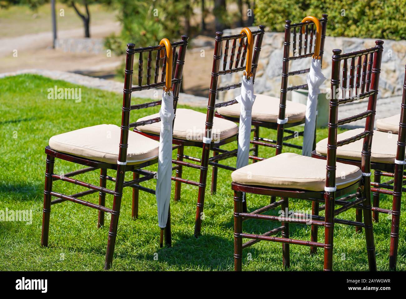 Rows of chairs for guests at an open-air wedding ceremony Stock Photo ...