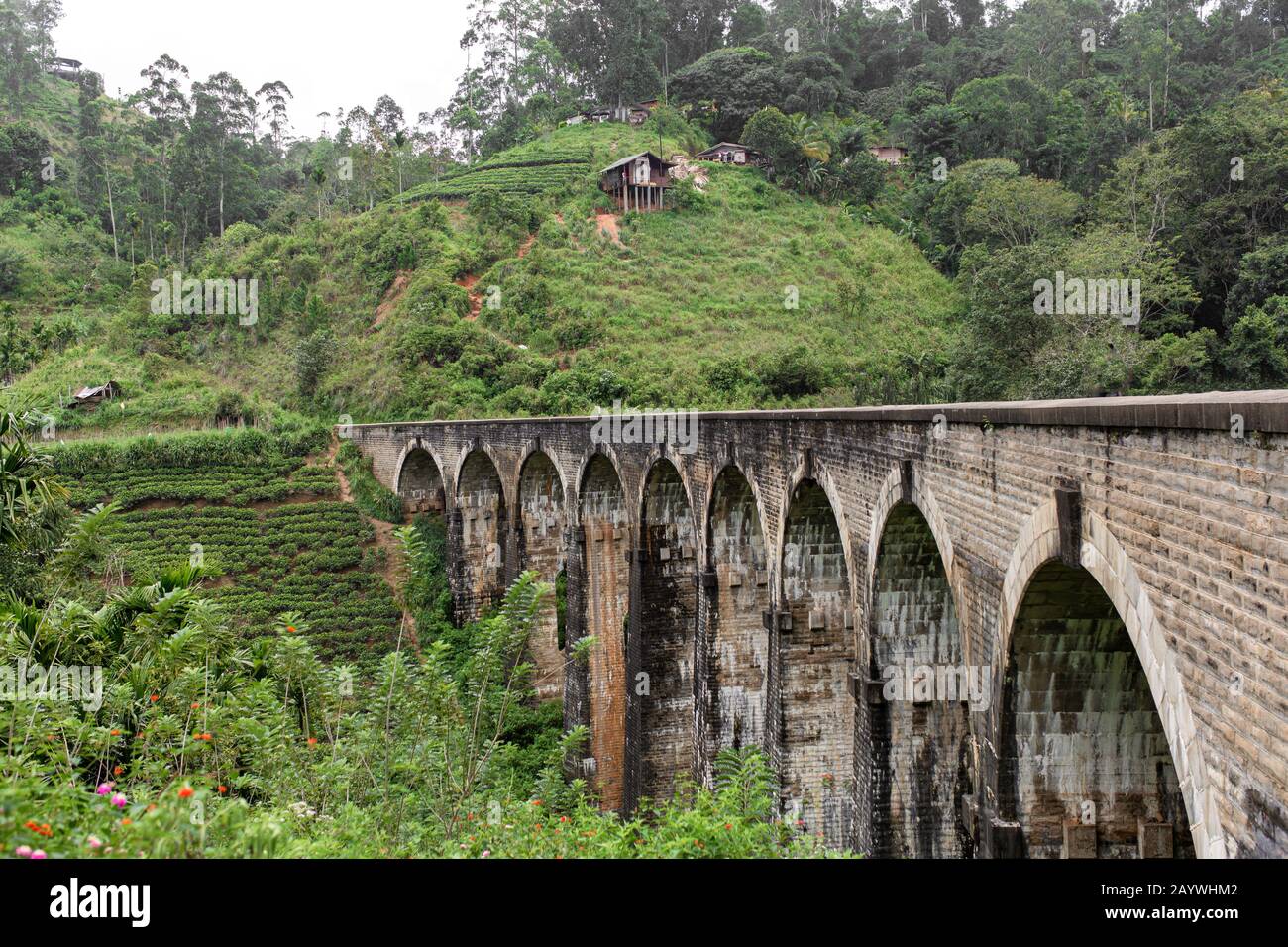 The famous ninearch bridge of the railway in the jungle in Sri Lanka